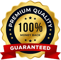 Premium Quality YouTube Subscribers